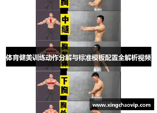 体育健美训练动作分解与标准模板配置全解析视频