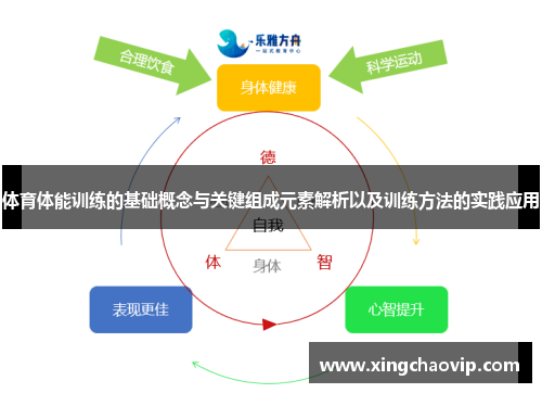 体育体能训练的基础概念与关键组成元素解析以及训练方法的实践应用