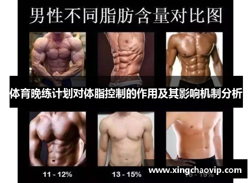 体育晚练计划对体脂控制的作用及其影响机制分析