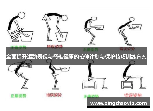 全面提升运动表现与脊椎健康的拉伸计划与保护技巧训练方案