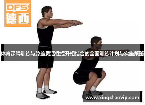体育深蹲训练与膝盖灵活性提升相结合的全面训练计划与实施策略